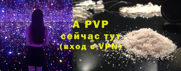 mdpv Богданович